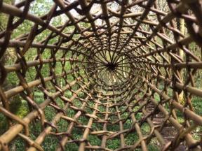 Weave a Willow Fish Trap