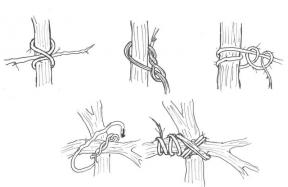 Rough bindings - knots and lashings